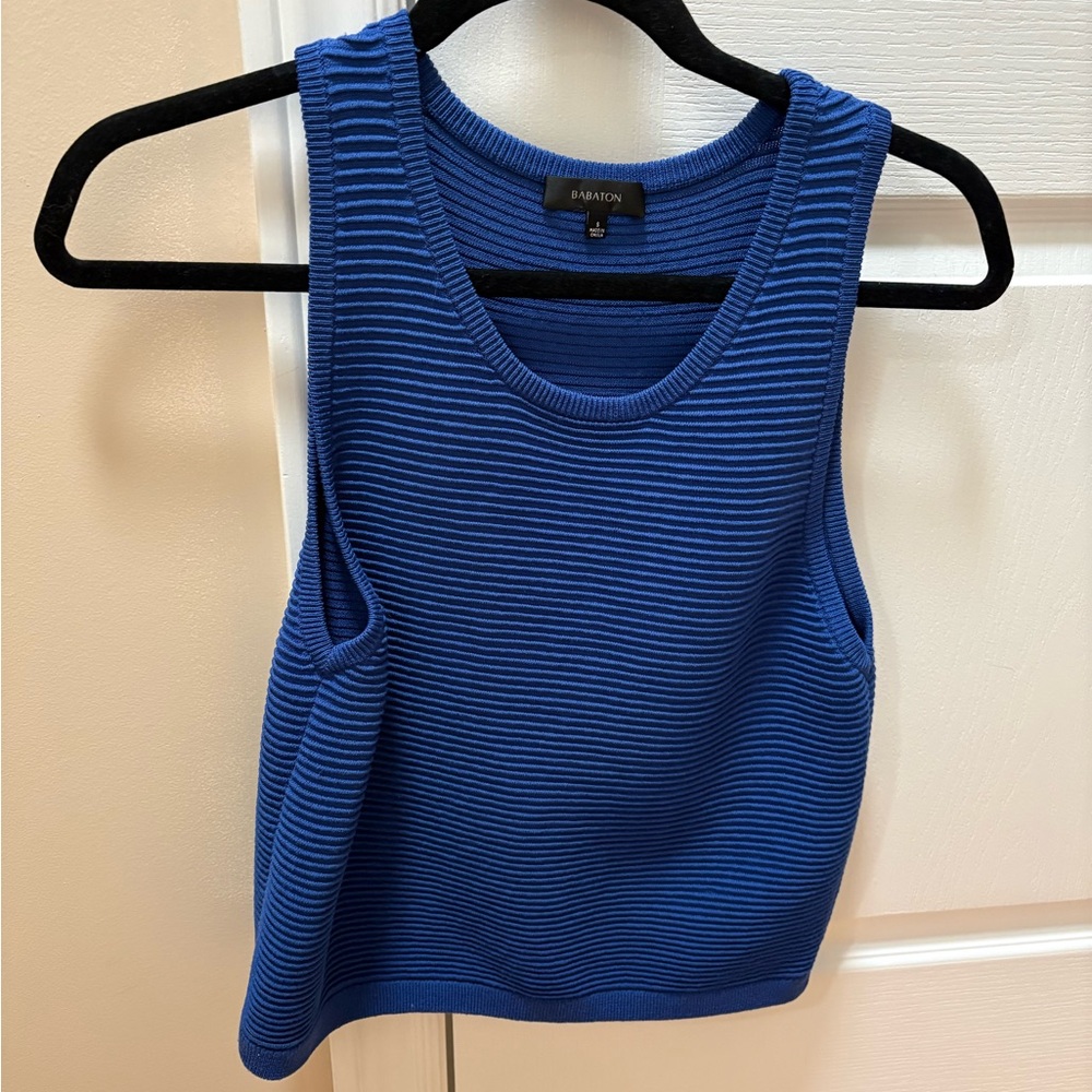 Aritzia Royal Blue Ribbed Tank Top
